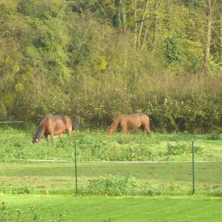 Charmante Maison A Sur Eu Avec Jardin Touffreville-sur-Eu